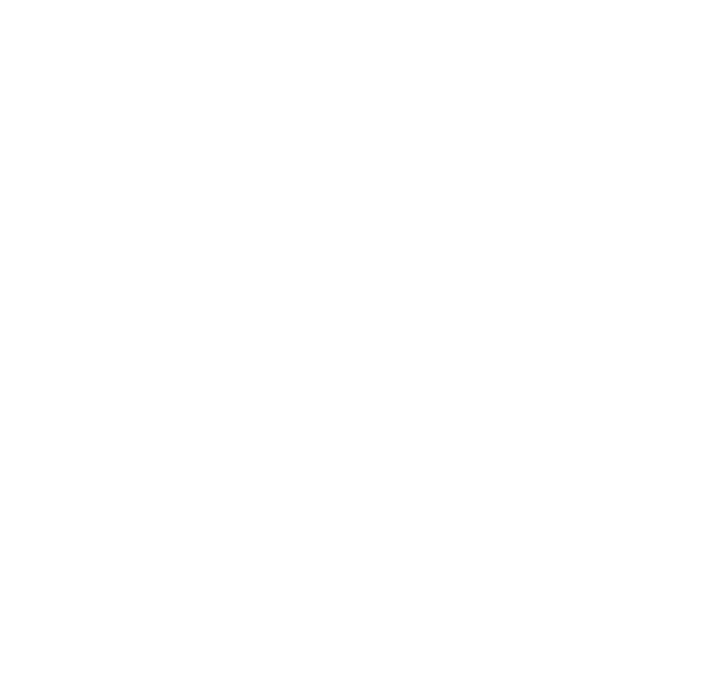 logo zubní centrum Nerudovka Plzeň